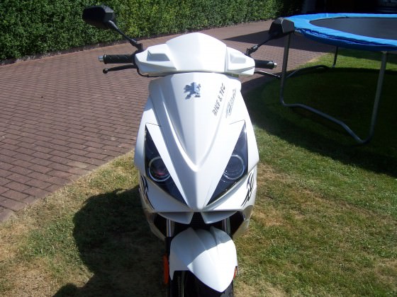 Mein 7 Tage alter Jett