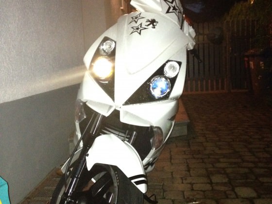 Projekt 2012
