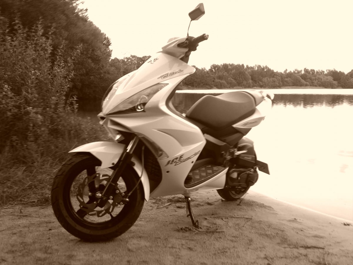 Jetty & Speedy @ See
