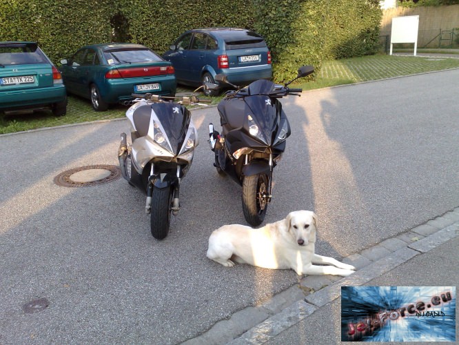 Mit Fußrasten und Forster^^