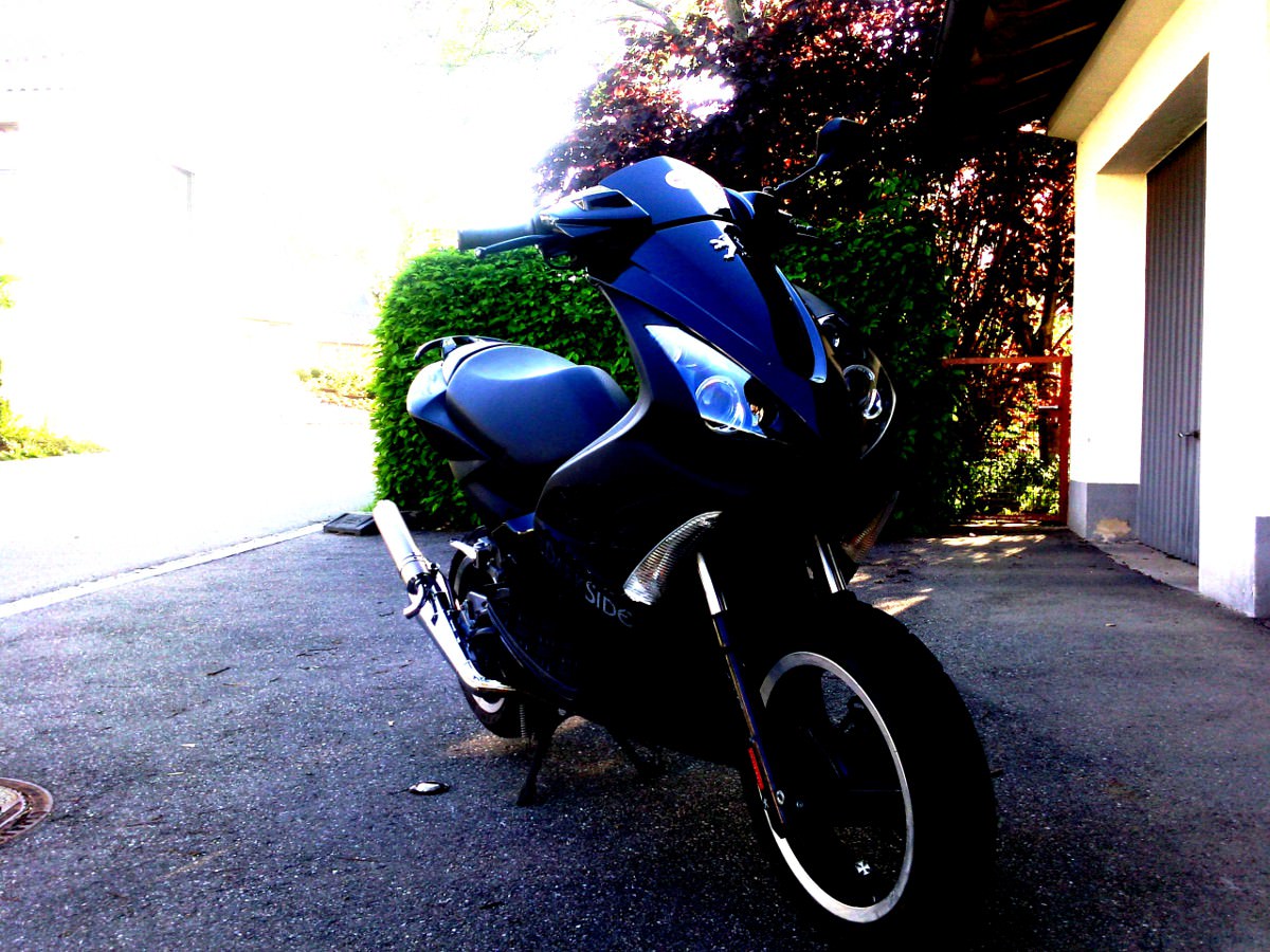 so bearbeitet isser richtig toll :D I ♥ my Jetty