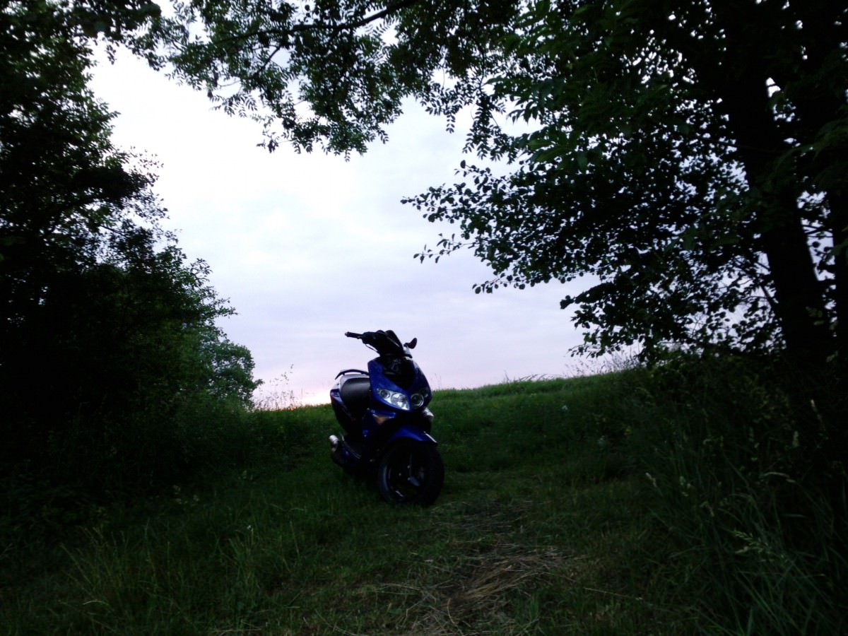 Ich liebe sie :)♥