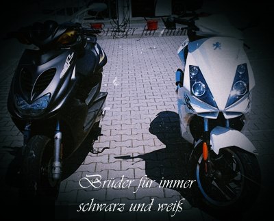 2012-05-26 13.43.13