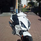 roller (6)