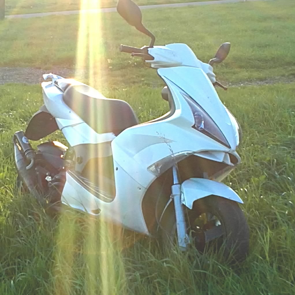 Neues Bild