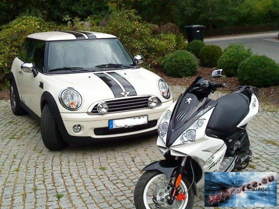 Jetty vs. Mini