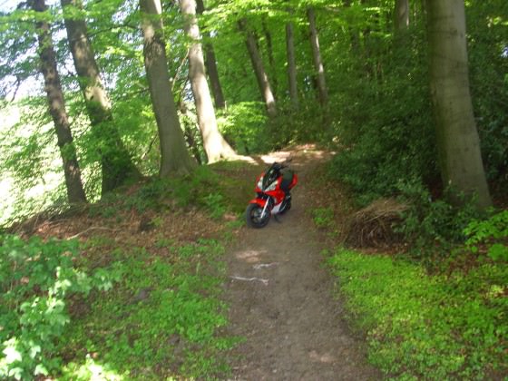 ich liebe meinen roller und dieses wetter<3