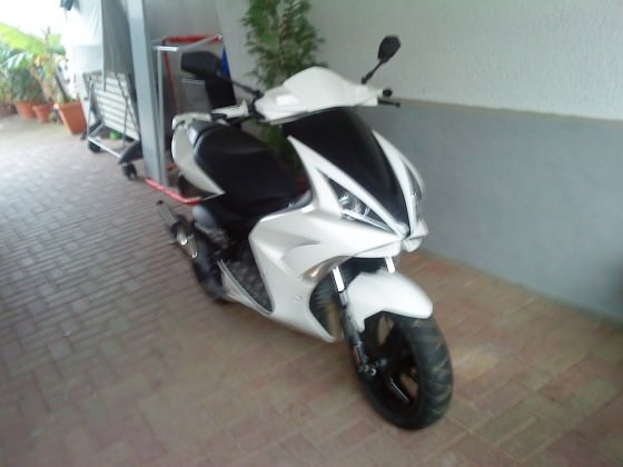 Schwarzes Front3eck