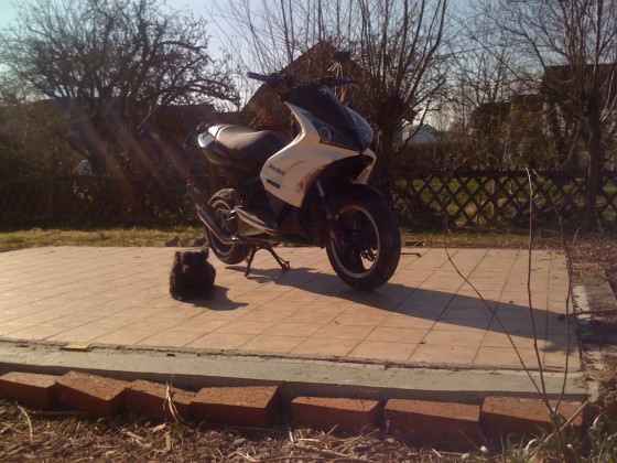Jetty und Doggy