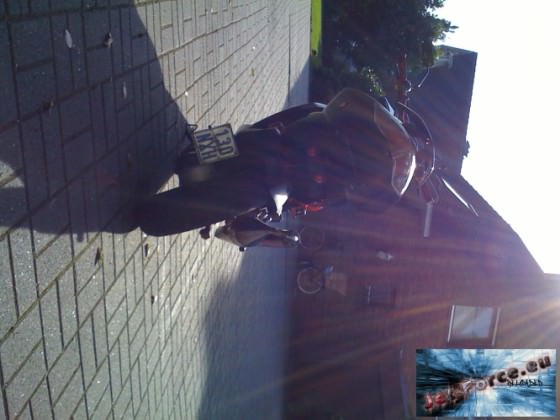 neue bilder