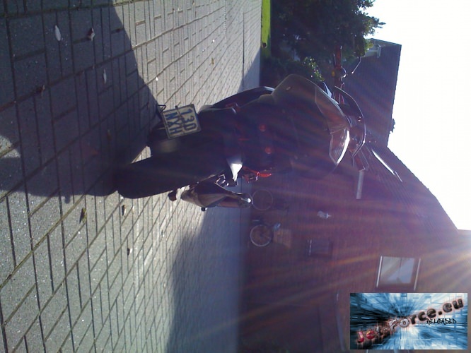 neue bilder