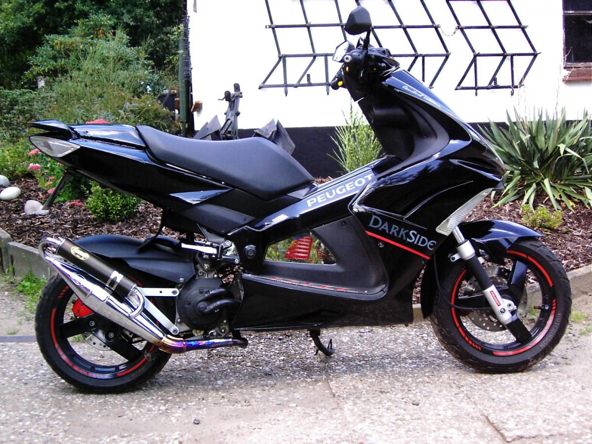 DSCI0000