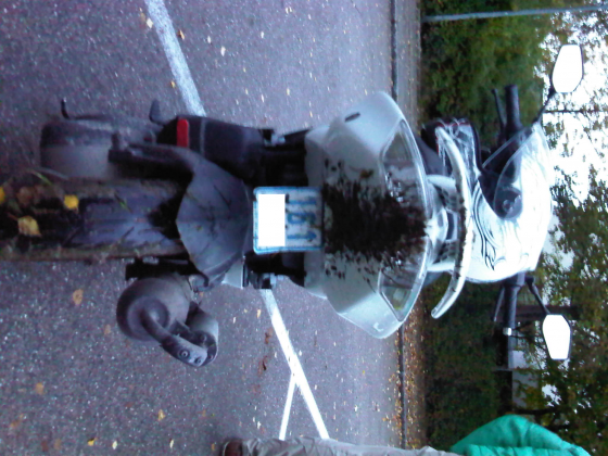 Meine Jetty :D