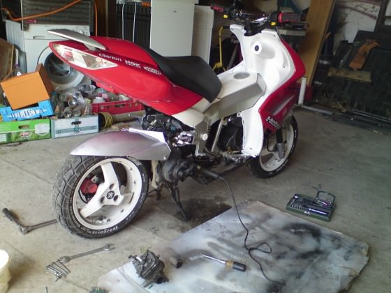Malle sport