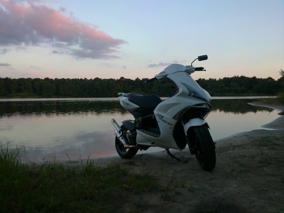 Jetty & Speedy @ See