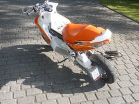 neu (4).jpg