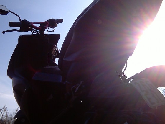 IMAG0363