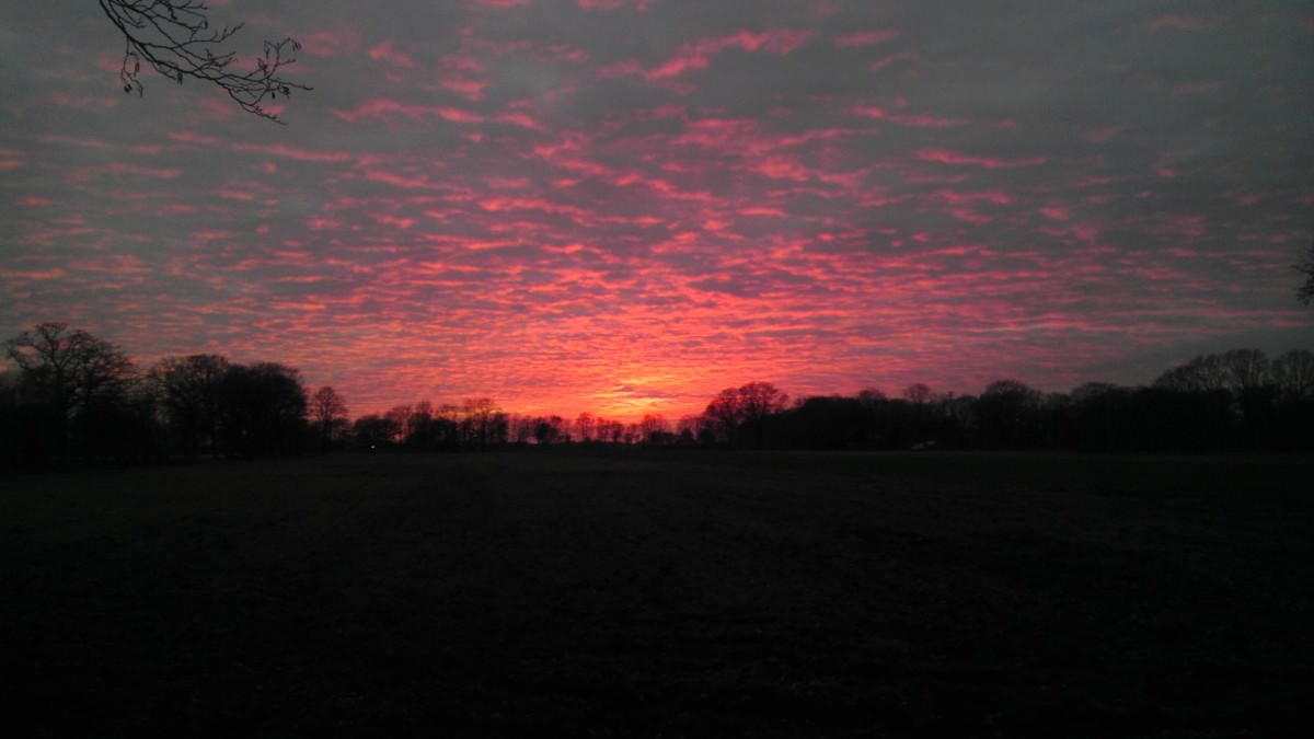 IMAG0057