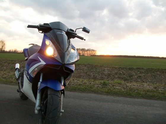 Sommer 2011 <3...
