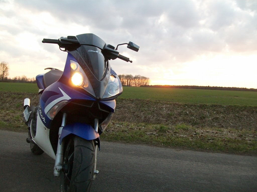 Sommer 2011 <3...