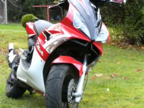 BILD0232.JPG