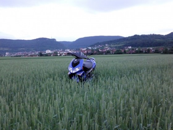 Ich Liebe sie :)♥