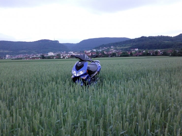 Ich Liebe sie :)♥