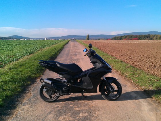IMAG0715