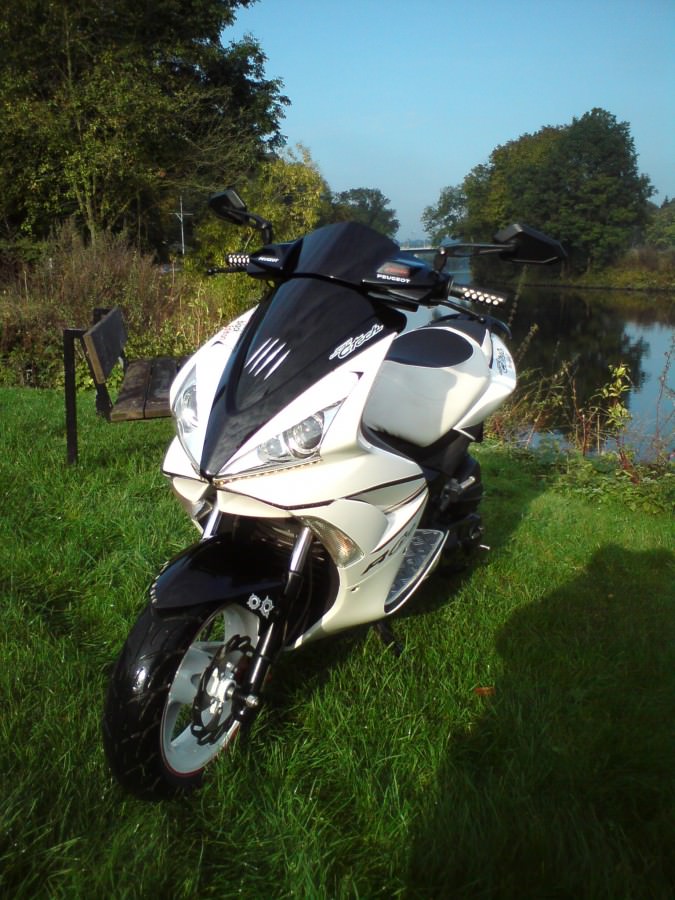 DerScooter im Morgentau