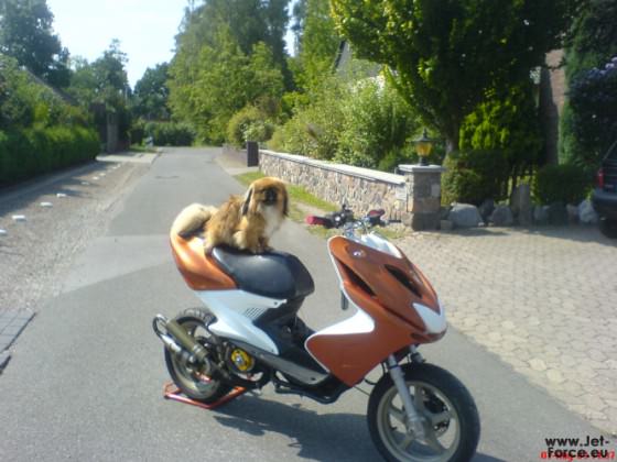 Mit Verkleidung & Scooter Wuff xD