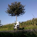 Geiler Tag