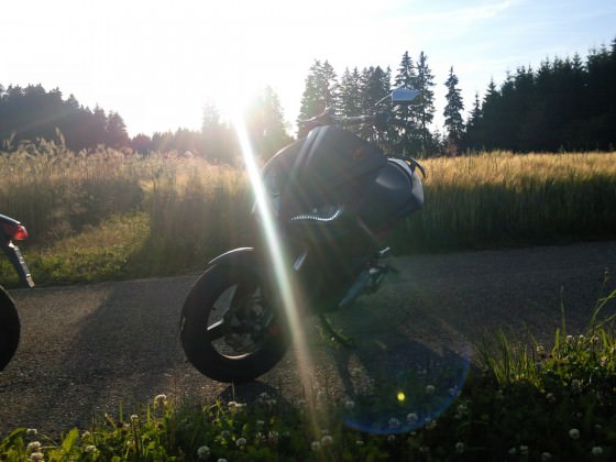 jo fotosession im feld :D morgen wird fertig abgestimmt und dann kommt video