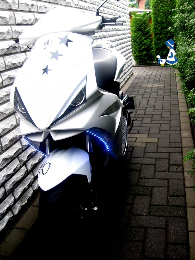 er wird so geil mit DOWNI♥ !