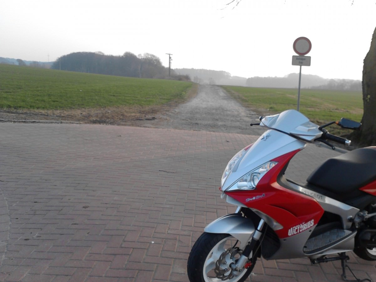 P300112_15.39_[01]