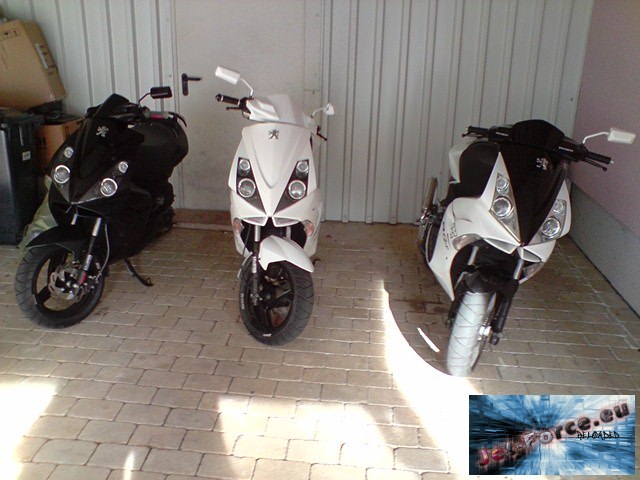 Jetty Killa´s Meiner und Jetty_4_Life