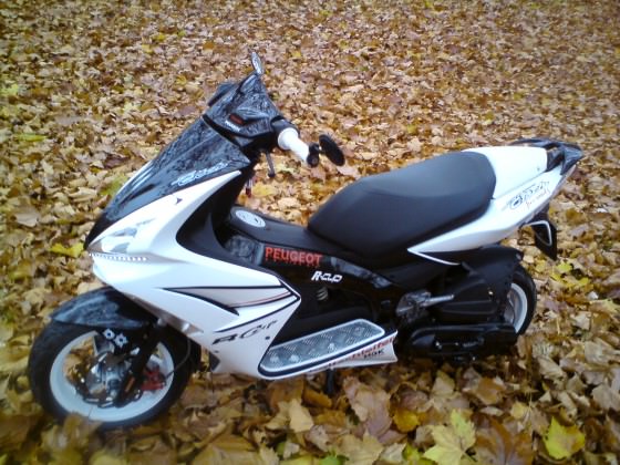 Der Scooter