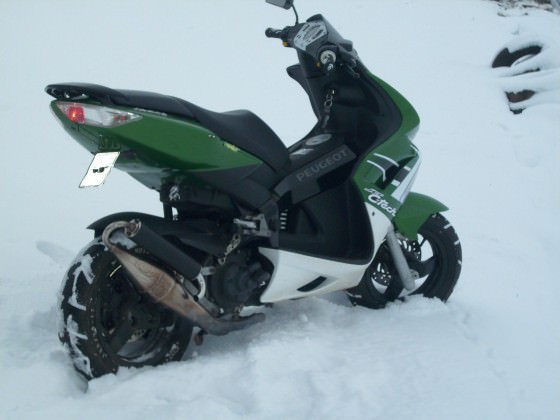 WINTER