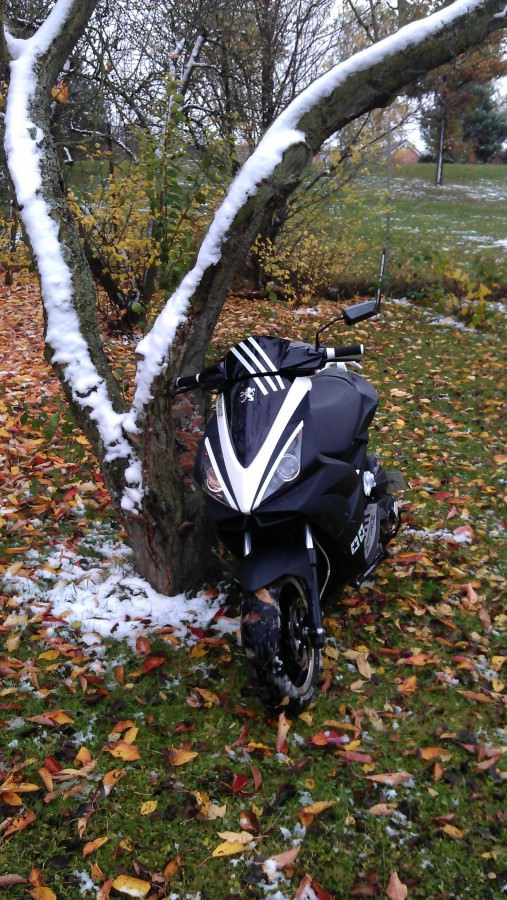 bye bye Jetty ;( Der Winter ist da :(