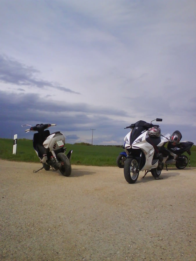 Rox/R-cup