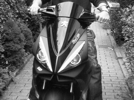 >> Sexy Biatch <<