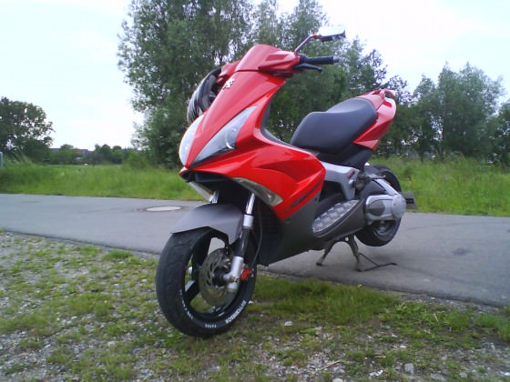 Letzten  Bilder ohne Downi :D