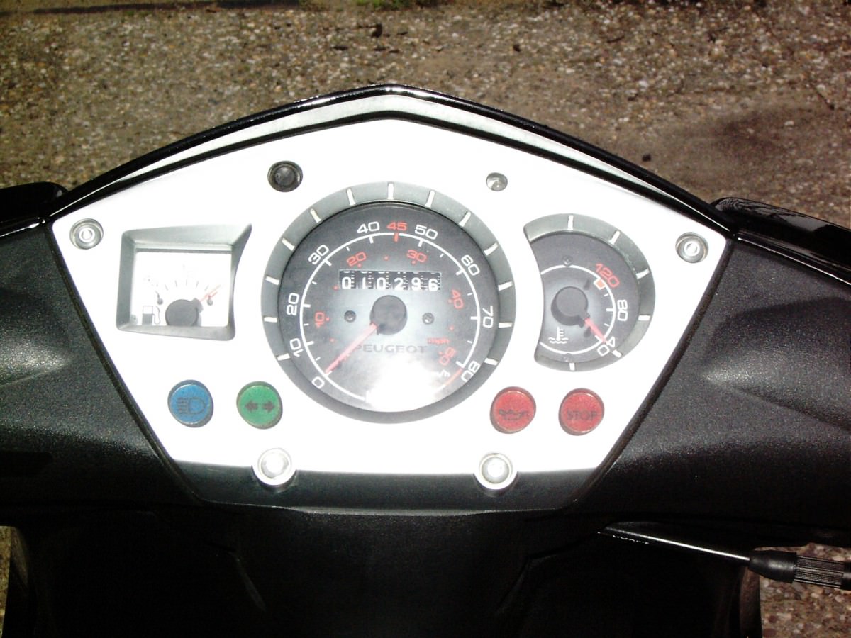 DSCI0019