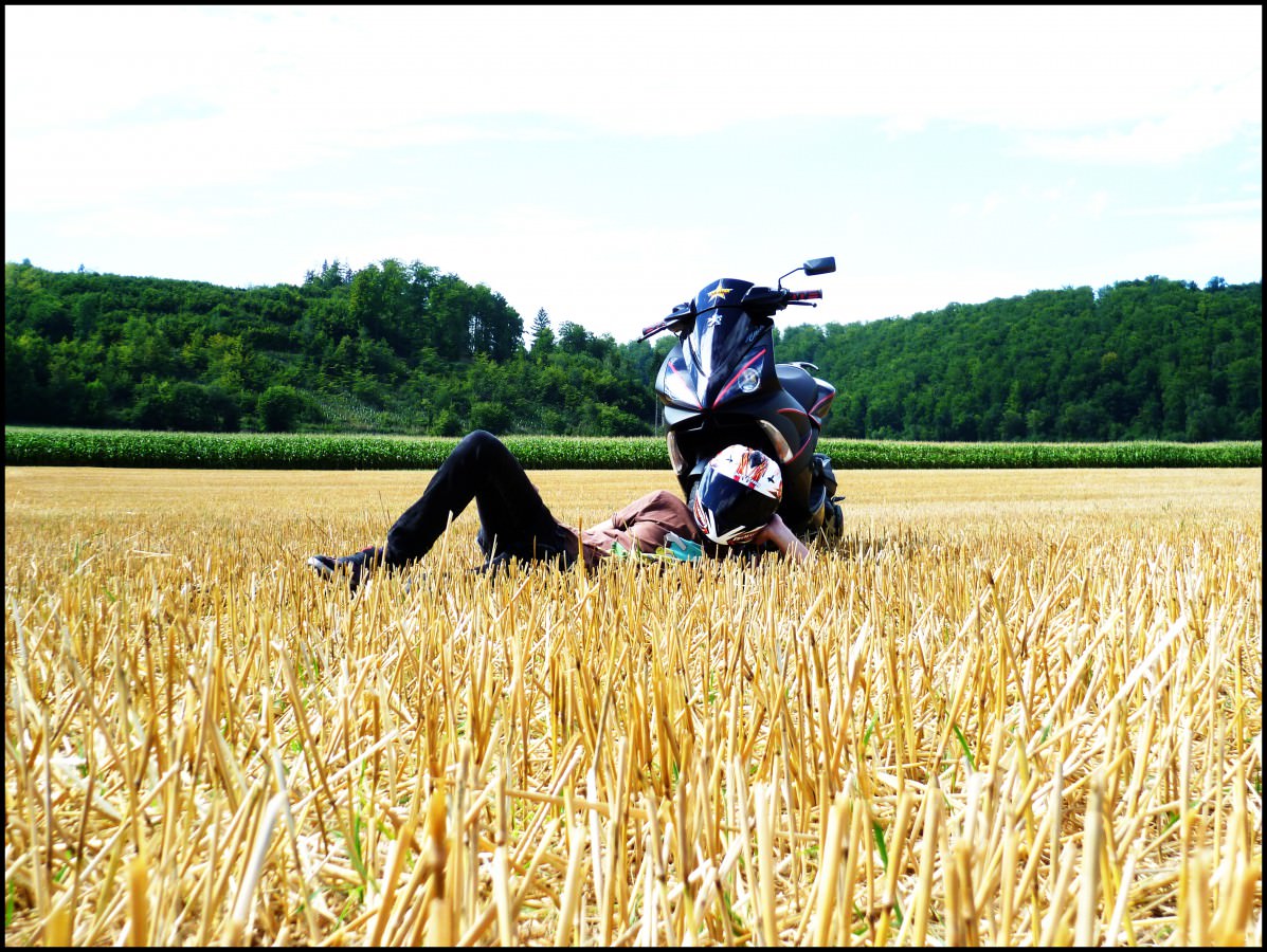 model :D