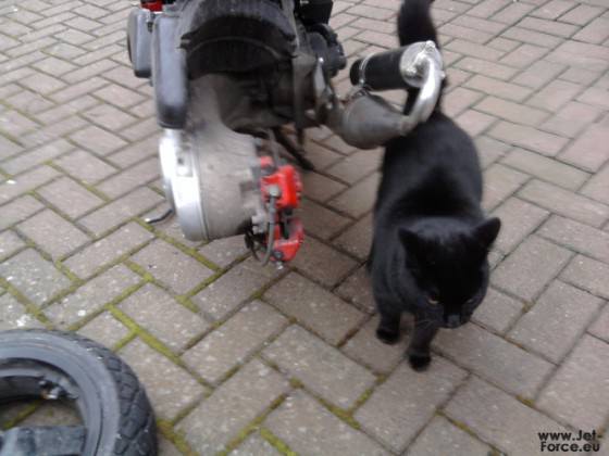 Schrauben mit Muschi!