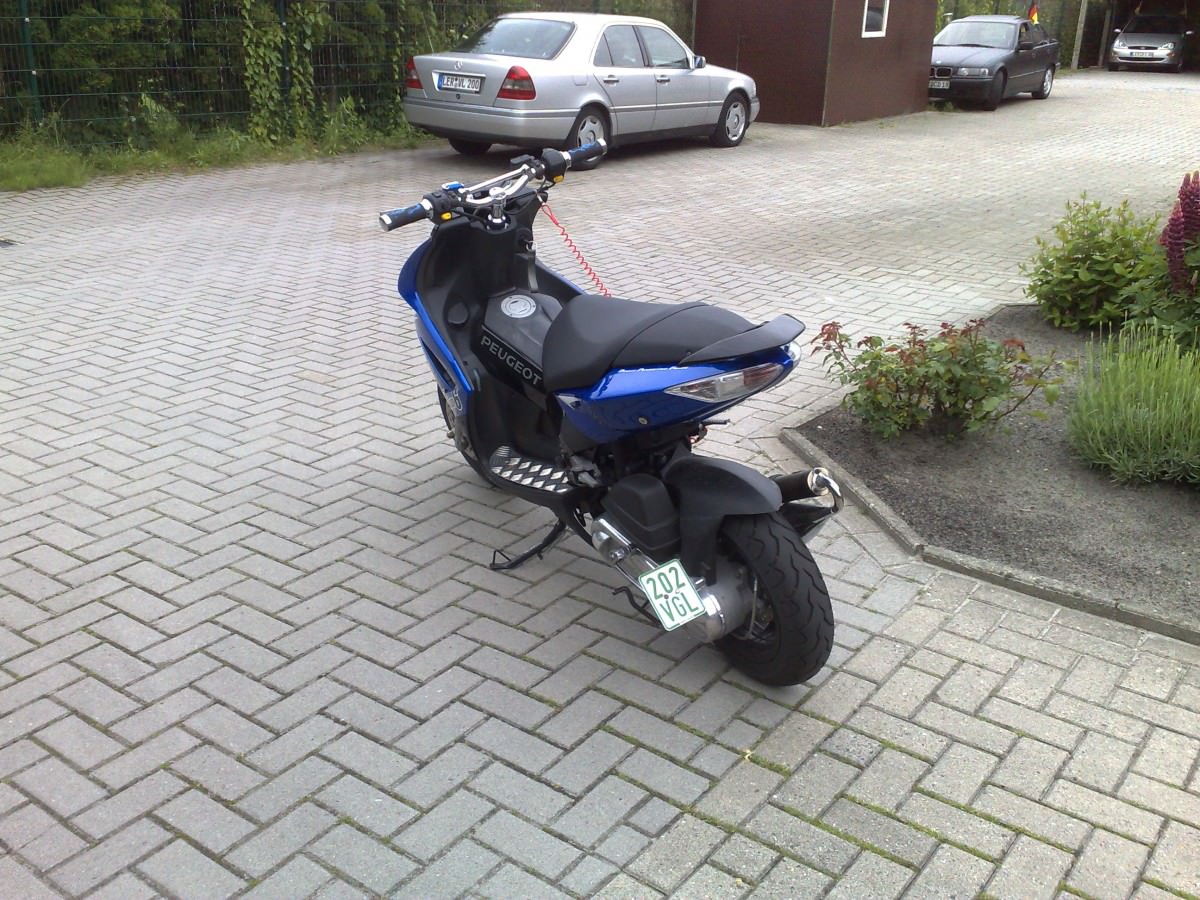 Bild 279