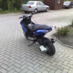 Bild 279