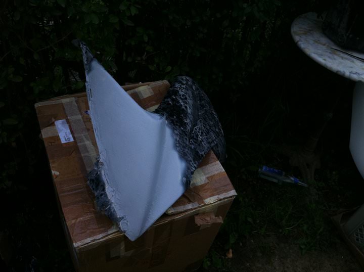 Eventuell abzugeben wegen Projektaufgabe von einem Kumpel
