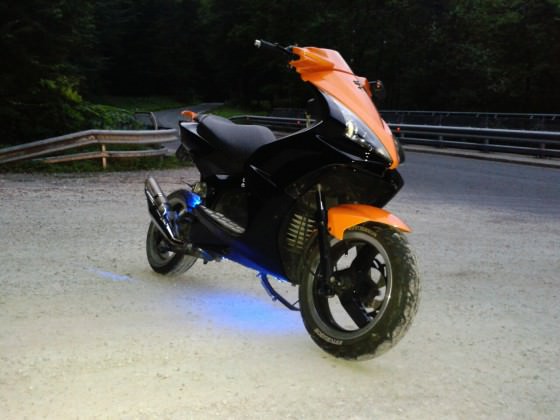 orangeblack jetts