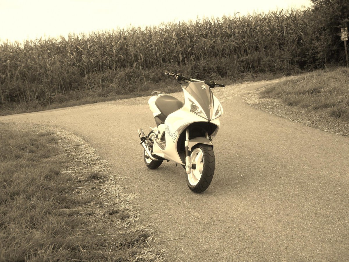 ONE LOVE <3