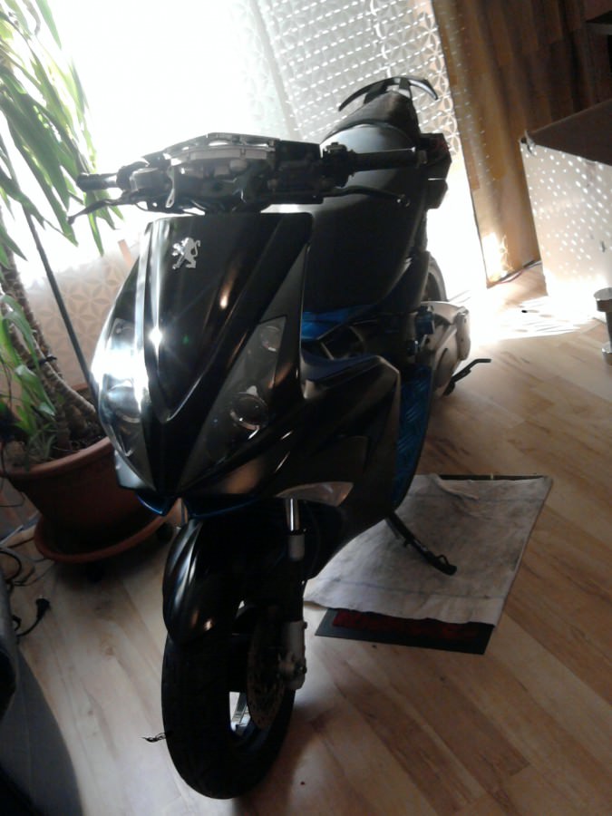 Im Wohnzimmer front schon fast fertig